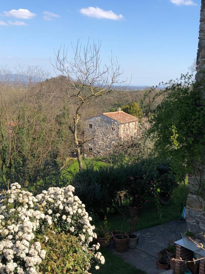 Dolce Vita In Tuscany B&B カパンノリ エクステリア 写真