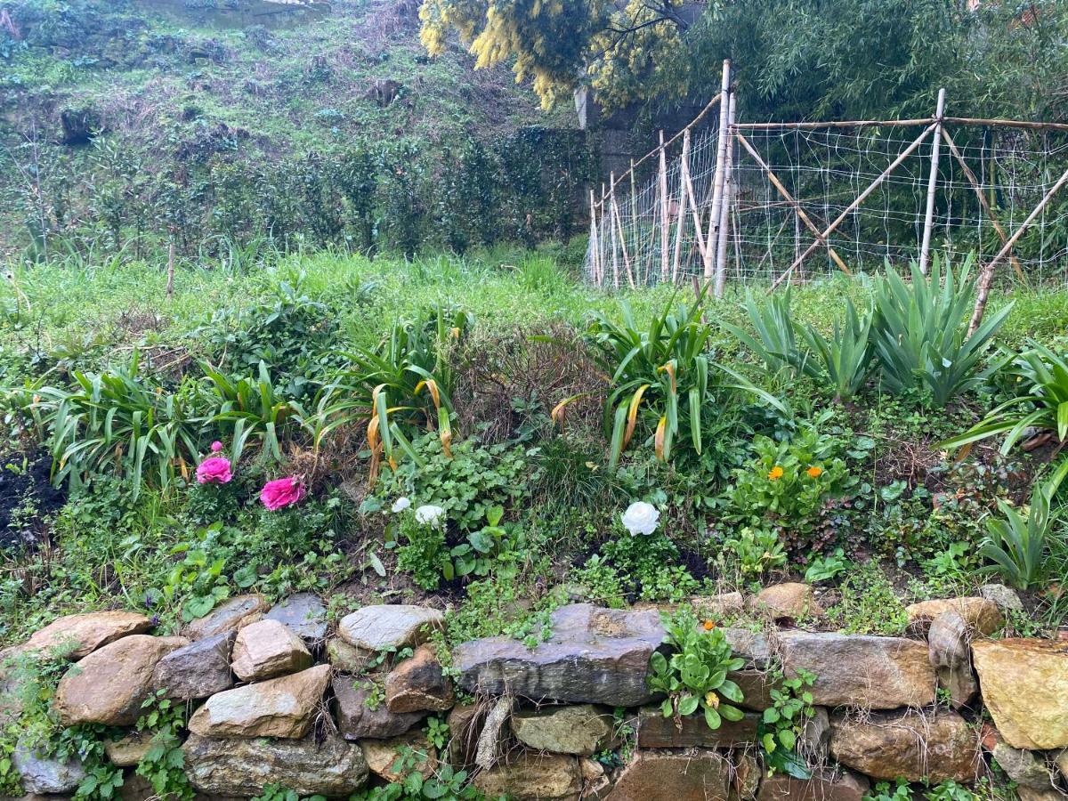 Dolce Vita In Tuscany B&B カパンノリ エクステリア 写真